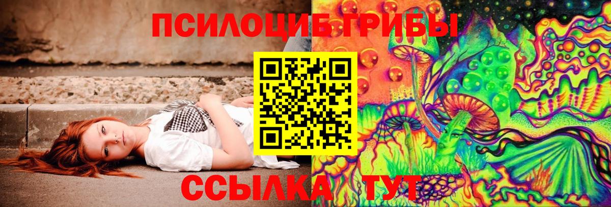 Псилоцибиновые грибы GOLDEN TEACHER Карачаевск