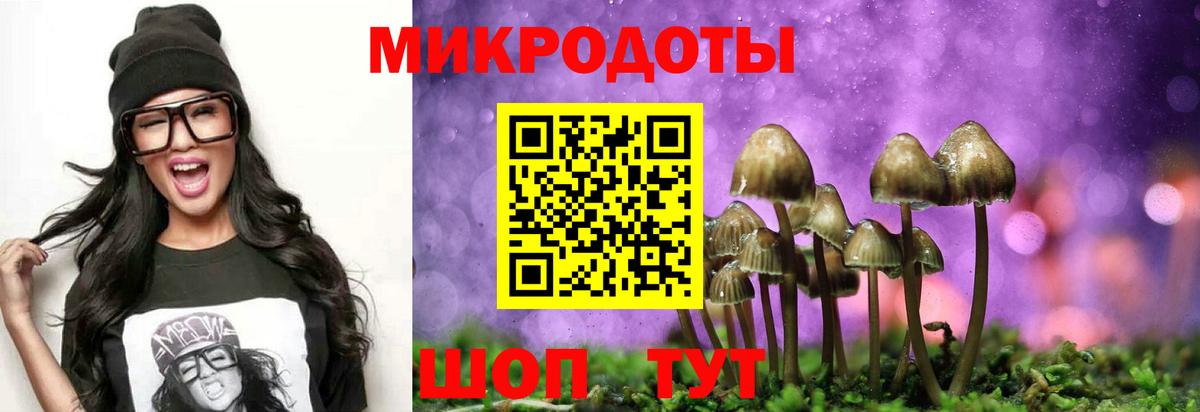 Карачаевск  Галлюциногенные грибы MAGIC MUSHROOMS  Вход с VPN 